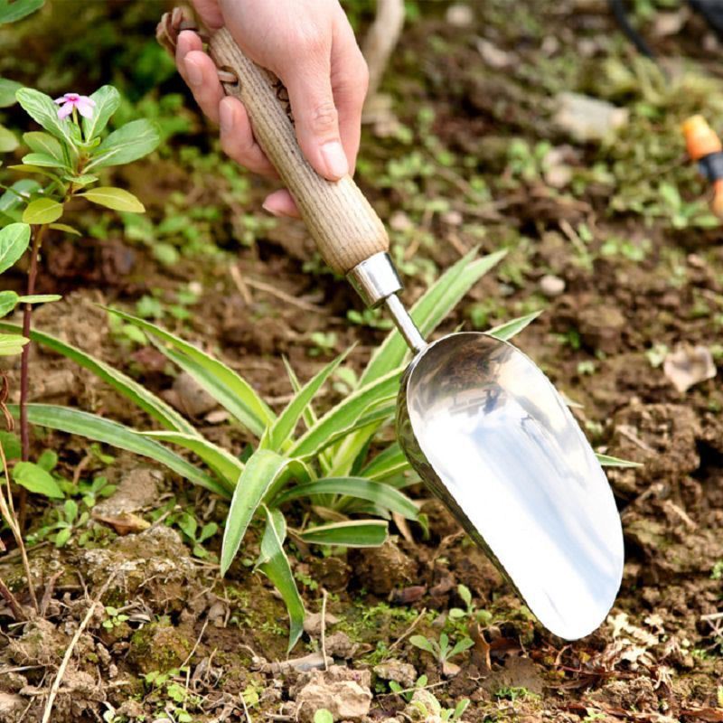 using for soil transfering(001)