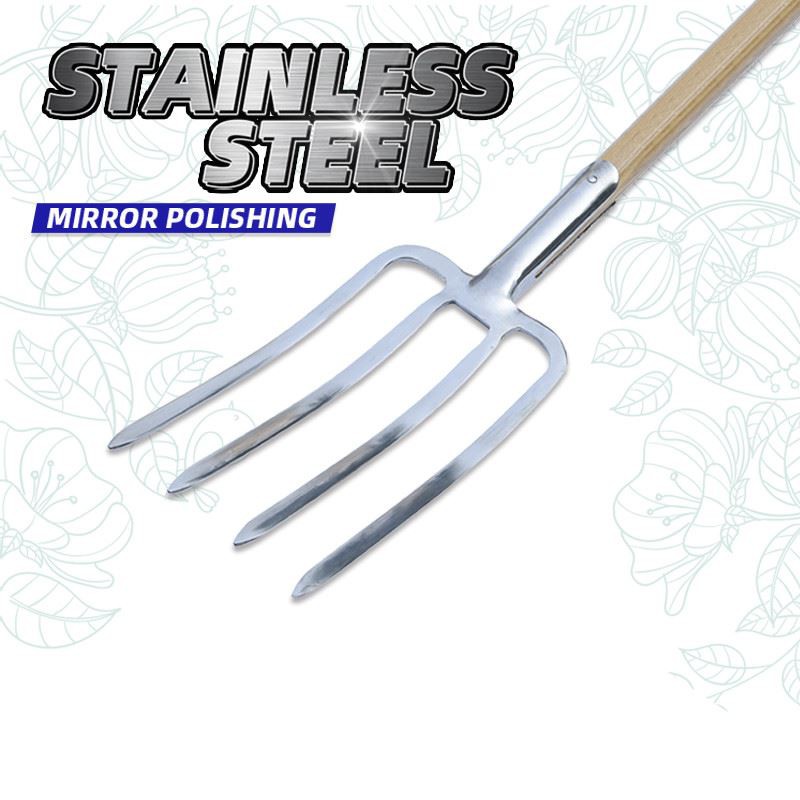 Stainless steel fork