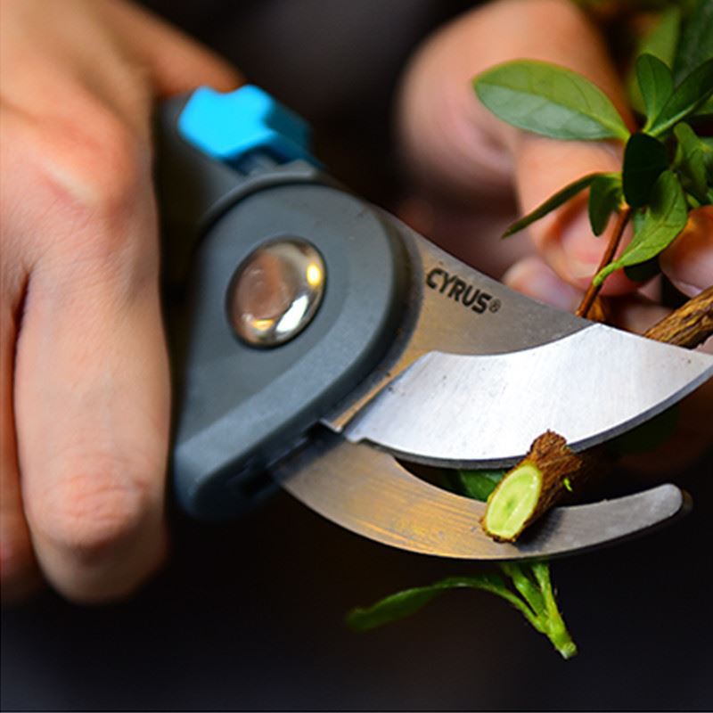 cutting live stem function