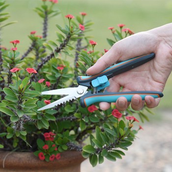 garden trimming scissors scene garden trimming scissors scene