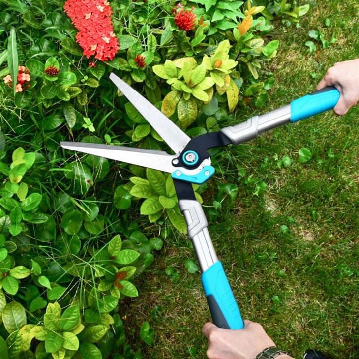 hedge garden shear