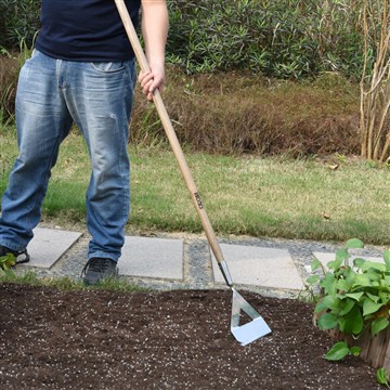 Prednosti ustanovitve zelenjavnega vrta
