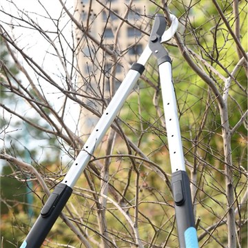 Obrezovanje in obrezovanje: skrb za moj družinski vrt