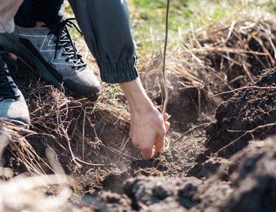 Igrivi koraki za kopanje skozi korenine