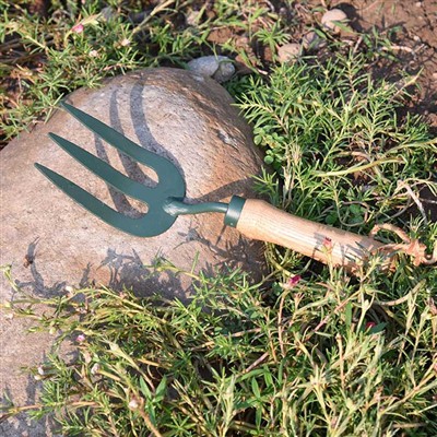 Vsakodnevne dogodivščine The Garden Tools