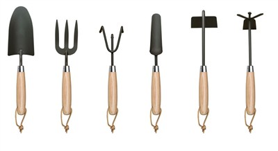 Sajenje paradižnika doma