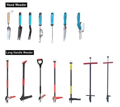 Gojenje zelenega: sprejemanje trajnosti v vašem vrtu